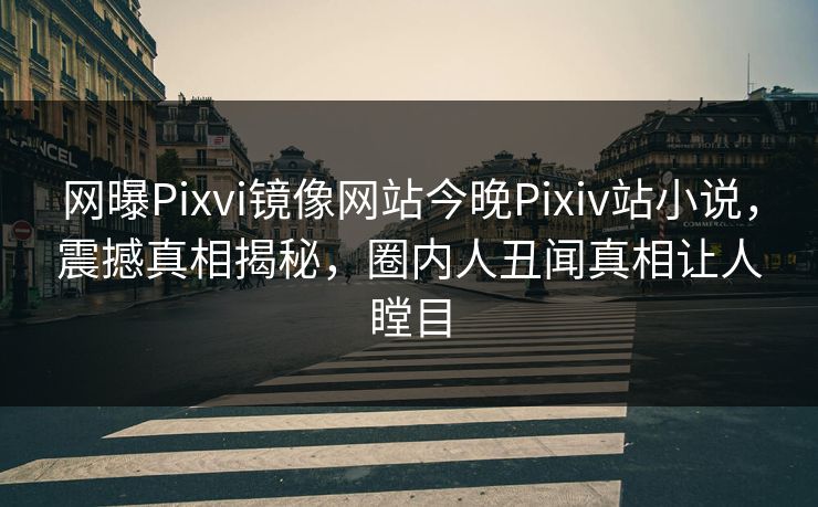 网曝Pixvi镜像网站今晚Pixiv站小说，震撼真相揭秘，圈内人丑闻真相让人瞠目