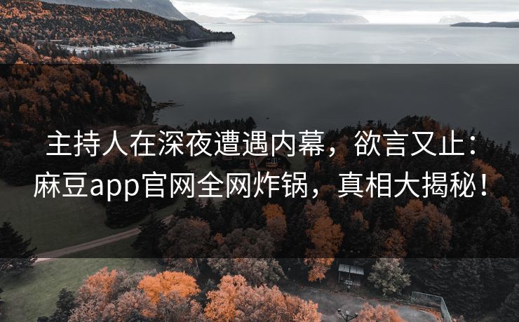主持人在深夜遭遇内幕，欲言又止：麻豆app官网全网炸锅，真相大揭秘！