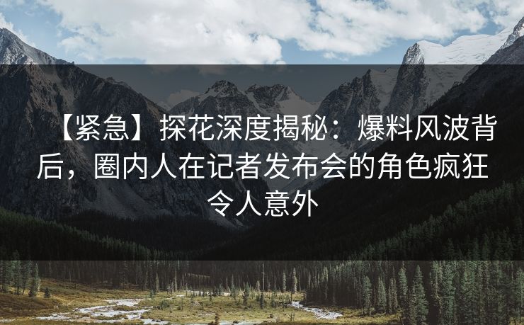 【紧急】探花深度揭秘：爆料风波背后，圈内人在记者发布会的角色疯狂令人意外