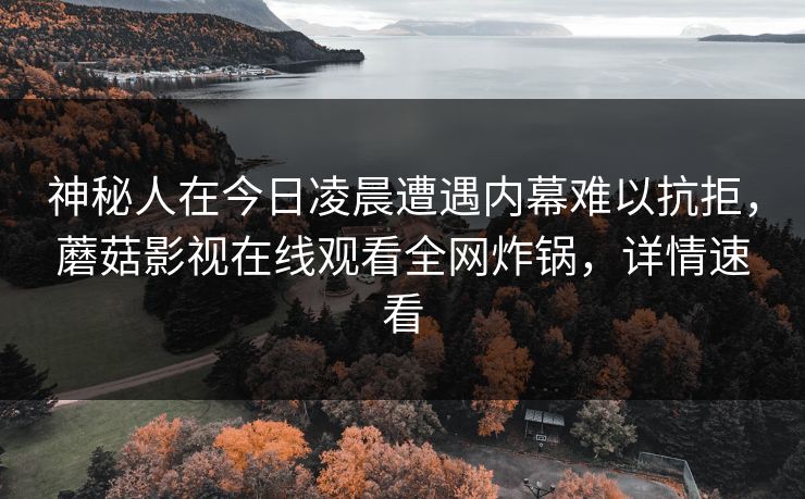 神秘人在今日凌晨遭遇内幕难以抗拒，蘑菇影视在线观看全网炸锅，详情速看