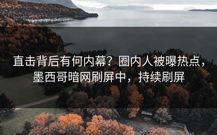 直击背后有何内幕？圈内人被曝热点，墨西哥暗网刷屏中，持续刷屏