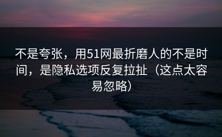 不是夸张，用51网最折磨人的不是时间，是隐私选项反复拉扯（这点太容易忽略）